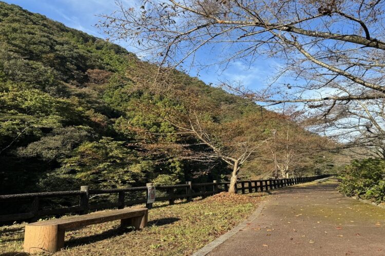 道の駅ことなみ　トレッキング2